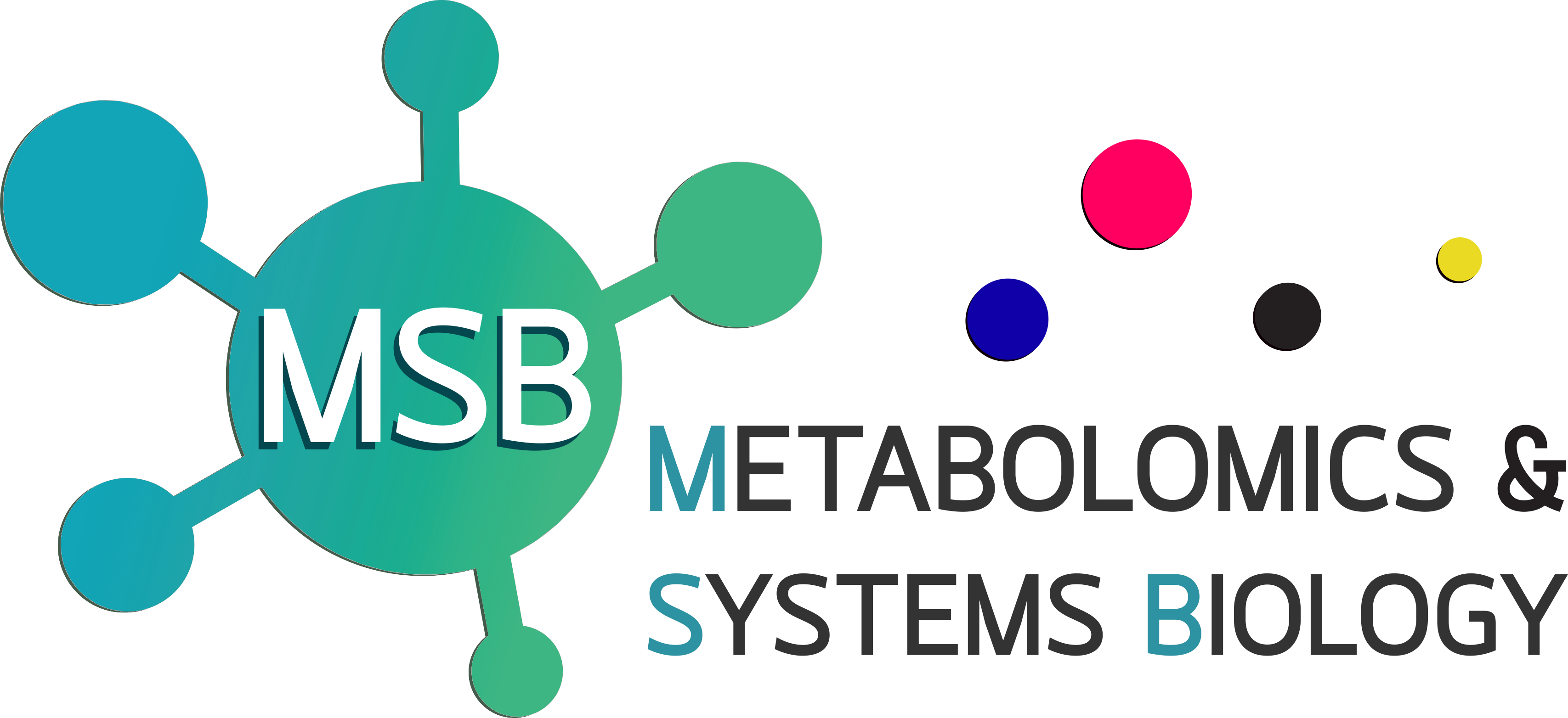 /images/Logo_MSB.png